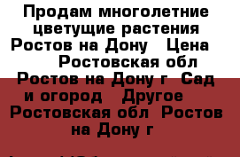 Продам многолетние цветущие растения Ростов-на-Дону › Цена ­ 100 - Ростовская обл., Ростов-на-Дону г. Сад и огород » Другое   . Ростовская обл.,Ростов-на-Дону г.